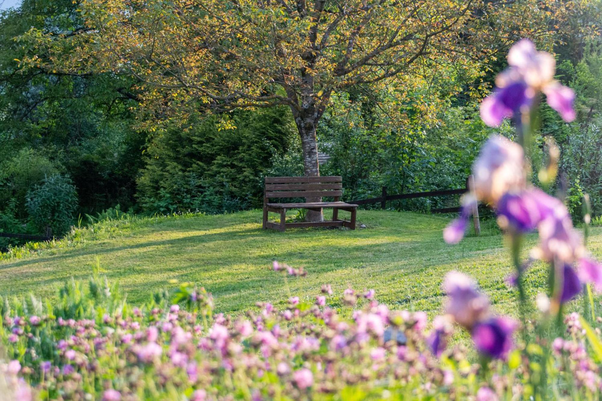 Gartenlodge Auszeit Nötsch Dış mekan fotoğraf