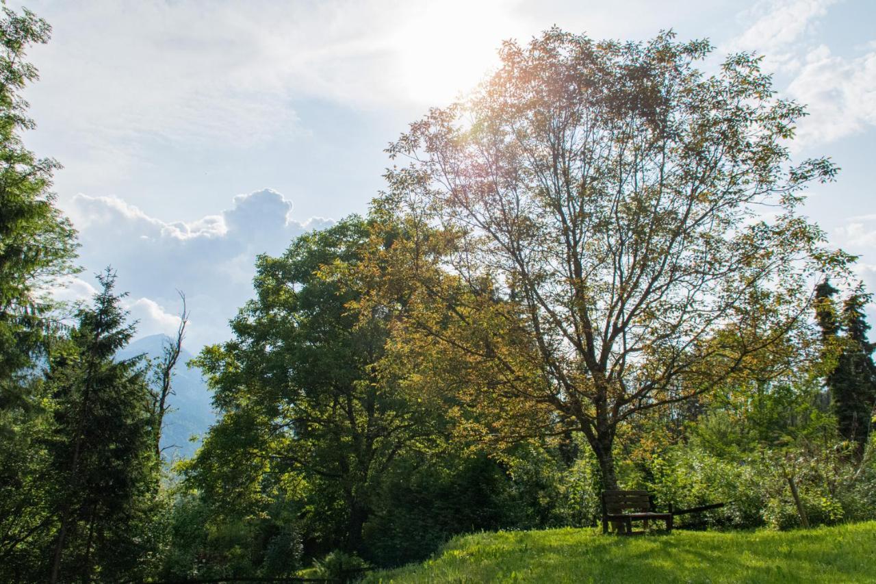 Gartenlodge Auszeit Nötsch Dış mekan fotoğraf